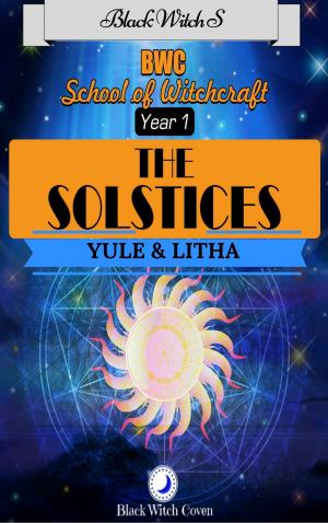 Cover of the book The Solstices: Yule & Litha by Black Witch S