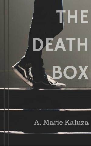 Cover of the book The Death Box by Kirsten Beyer