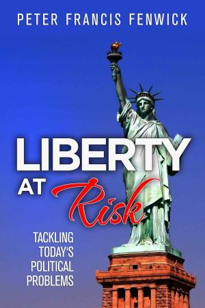 Book cover of Liberty at Risk: Tackling Today's Political Problems