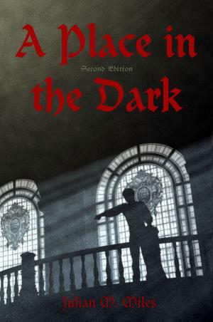 Cover of the book A Place in the Dark: Second Edition by Ron Stillman