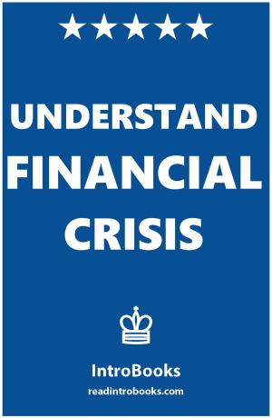 Book cover of Understand Financial Crisis