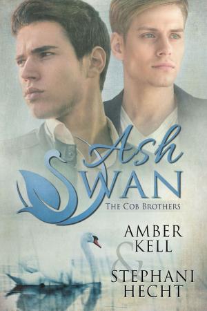 bigCover of the book Ash Swan by 