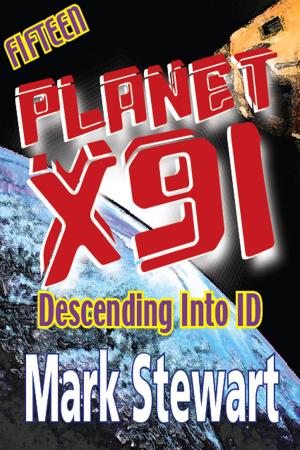 Cover of the book Planet X91 Descending into ID by Beth Gualda