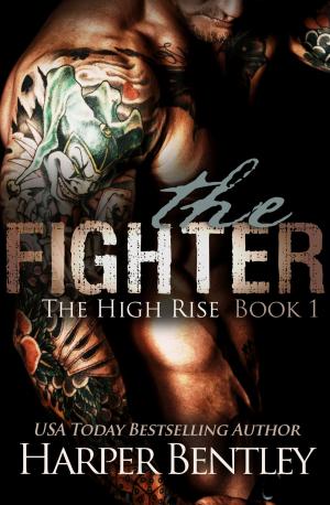 Cover of the book The Fighter (The High Rise, Book 1) by N.M. Silber