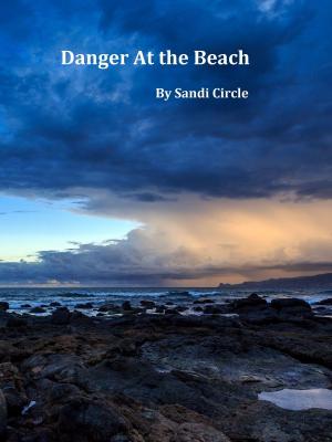 Book cover of Danger At the Beach