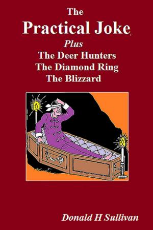 Cover of the book The Practical Joke Plus the Deer Hunters*The Blizzard*The Diamond Ring by Donald H Sullivan