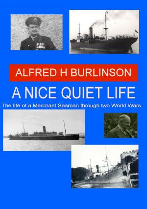 Cover of the book A Nice Quiet Life by Simon Hansen