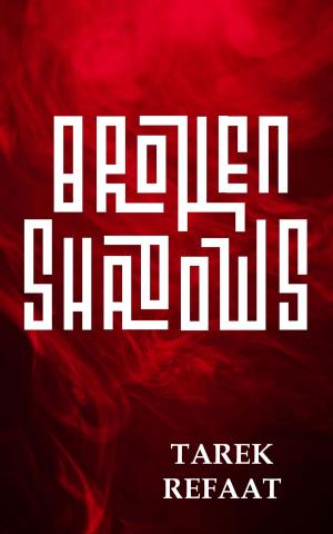 Cover of the book Broken Shadows by Debi Matlack