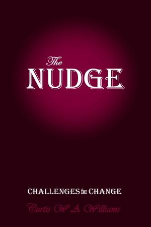 Book cover of The Nudge: Challenges for Change