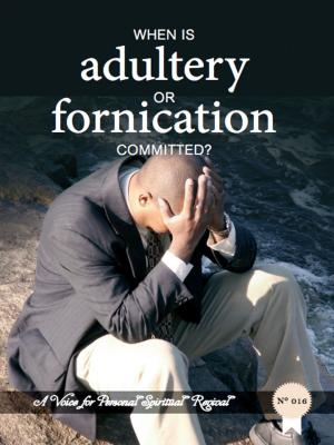 Cover of the book When Is Adultery Or Fornication Committed? by Boniface Menye
