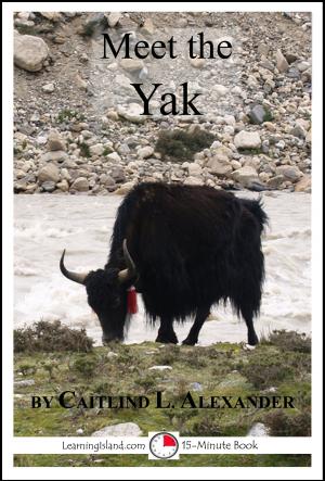Book cover of Meet the Yak: A 15-Minute Book for Early Readers