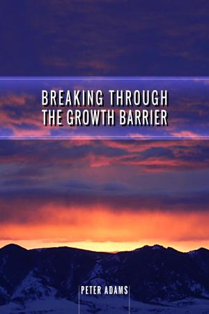 Cover of the book Breaking Through The Growth Barrier by Peter  Adams