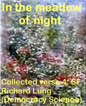 Book cover of In The Meadow Of Night