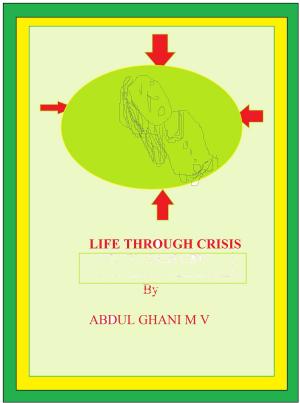 Cover of the book Life Through Crisis by Rebecca Bielawski