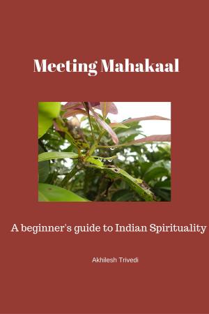 Book cover of Meeting Mahakaal: A beginner's guide to Indian Spirituality
