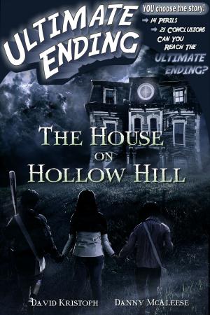 Cover of the book The House on Hollow Hill by Chris Strange