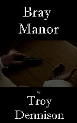 Cover of the book Bray Manor by Andrew McEwan