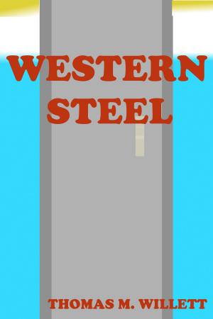 Cover of the book Western Steel by Dorothea Flechsig