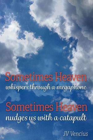 Cover of the book Sometimes Heaven Whispers Through a Megaphone; Sometimes Heaven Nudges Us With a Catapult by Minister Crosswell