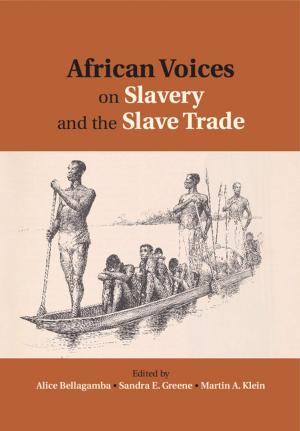 Cover of the book African Voices on Slavery and the Slave Trade: Volume 2, Essays on Sources and Methods by Giorgio Riello