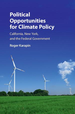 Cover of the book Political Opportunities for Climate Policy by Martin Shaw