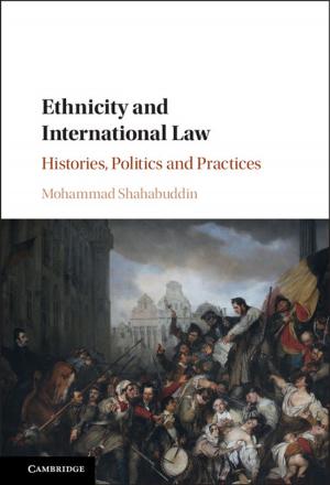 Cover of the book Ethnicity and International Law by Ronald C. Brown