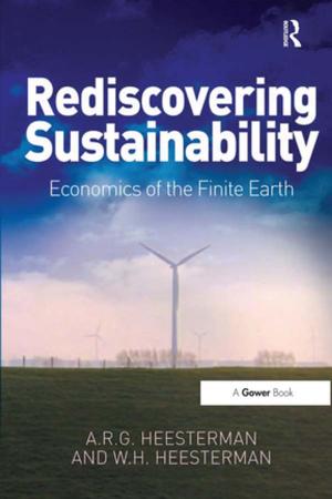bigCover of the book Rediscovering Sustainability by 