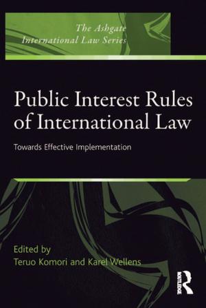 Cover of the book Public Interest Rules of International Law by Diana MacCallum, Courtney Babb, Carey Curtis