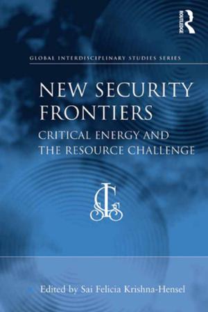 Cover of the book New Security Frontiers by Stein Ringen