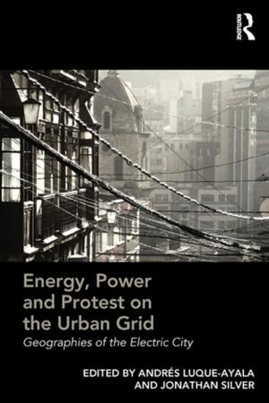 Cover of the book Energy, Power and Protest on the Urban Grid by David Pilgrim