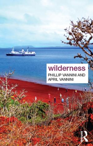 Cover of the book Wilderness by Elizabeth Faue