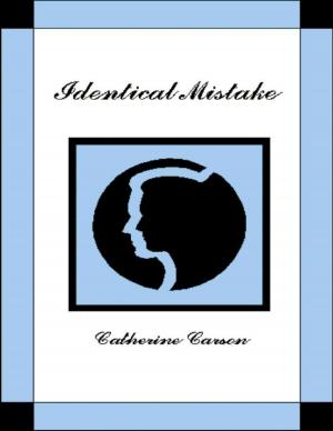 Cover of the book Identical Mistake by Dudley Clarence Sturgis IV