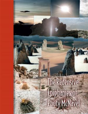 Cover of the book The Redensive Epiphanies of Pouty Mcnavel by Robert F. Richardson