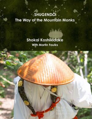 Book cover of Shugendō the Way of the Mountain Monks