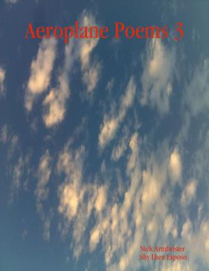 Book cover of Aeroplane Poems 3