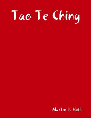 Cover of the book Tao Te Ching by Rinus Le Roux