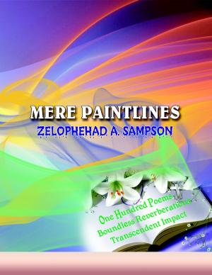 Book cover of Mere Paintlines
