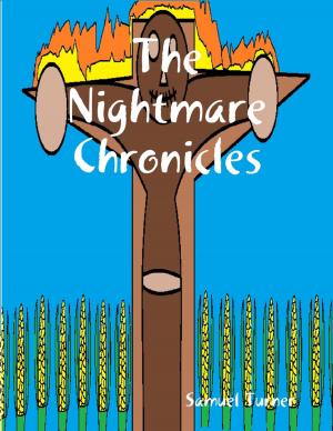 Cover of the book The Nightmare Chronicles by Midwestern Gothic