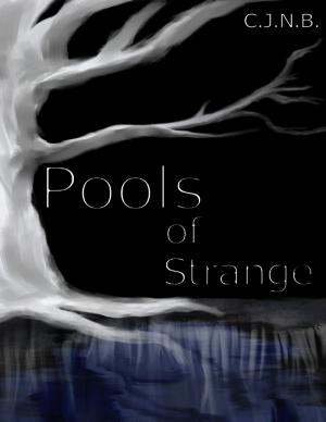Cover of the book Pools of Strange by Caroline Dancel-Garcia