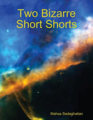 Cover of Two Bizarre Short Shorts by Mahsa Sedaghatian, Lulu.com