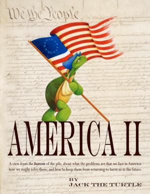 Cover of the book America II by Daniel Blue