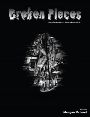 Cover of the book Broken Pieces by Renzhi Notes