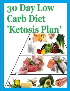 Cover of the book 30 Day Low Carb Diet ‘Ketosis Plan’ by Kenneth R. Gerety