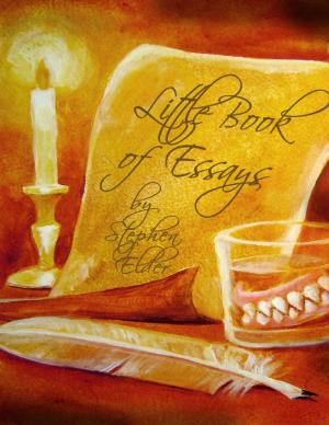 Cover of the book Little Book of Essays by Christian Clason, Andrew Gray