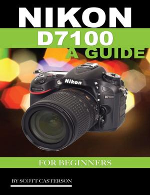Cover of the book Nikon D7100 a Guide for Beginners by Kimberly Vogel