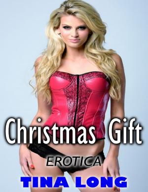 Book cover of Erotica: Christmas Gift