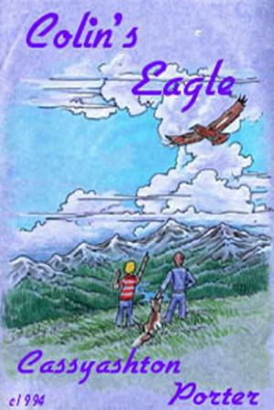 Cover of the book Colin's Eagle: Book 1 In the Friendship Series by Cindy Christmas
