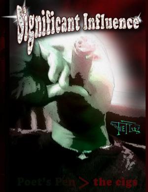 Cover of the book Significant Influence by Michael Cimicata