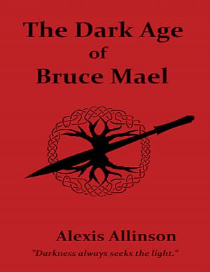 Cover of the book The Dark Age of Bruce Mael by Claudia Woolard