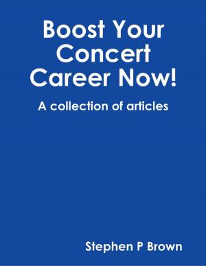 bigCover of the book Boost Your Concert Career Now! by 